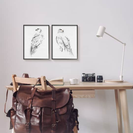 Stupell Industries White Hawk Winter Birds Soft Speckled Feathers Framed Wall Art